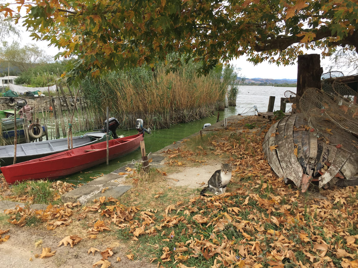 Lago Pamvotis To Nisí